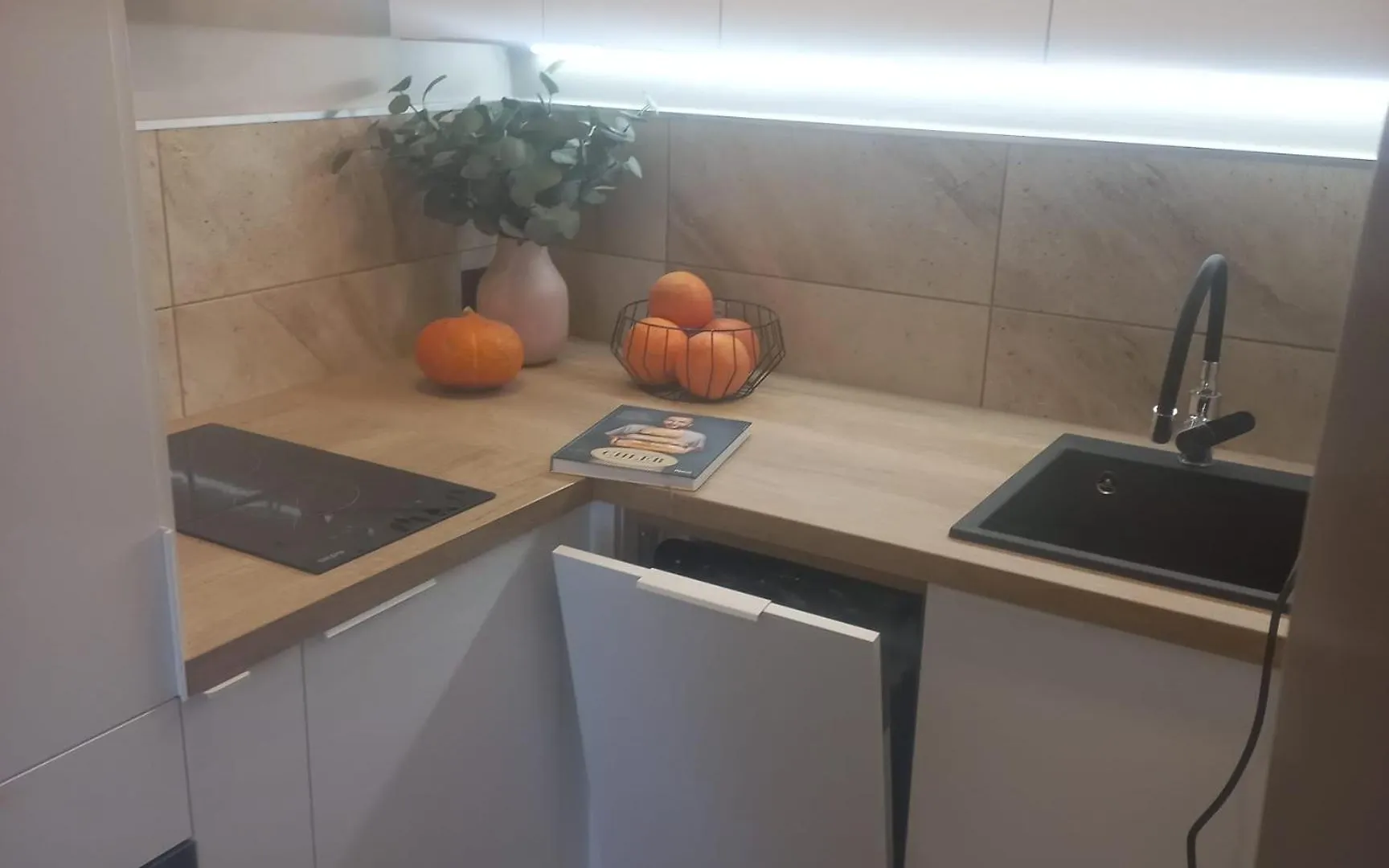 Apartmán Apartament Staroleka Poznaň